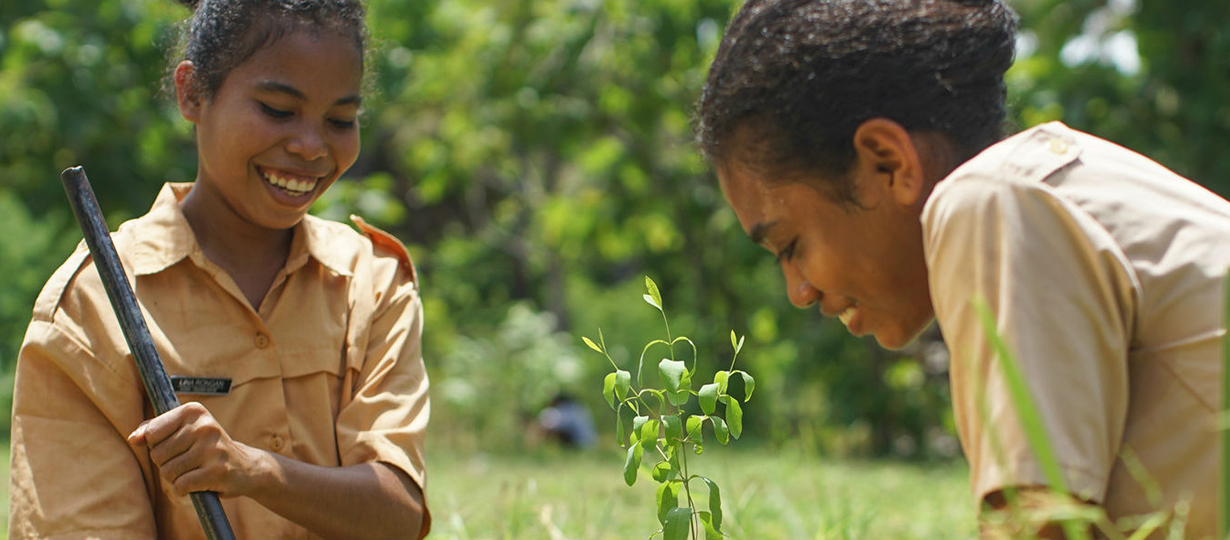 Girls plant tree saplings at school in Indonesia